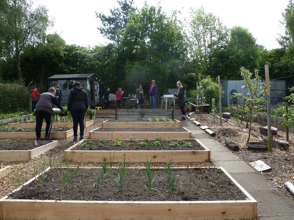 allotment plot made up of a number of raised beds